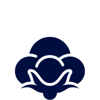 8-1 8-1